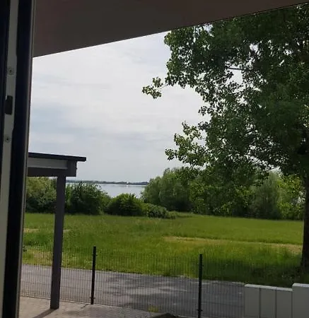 Vilka Na Zemplinskej Sirave * Klokocov (Michalovce)